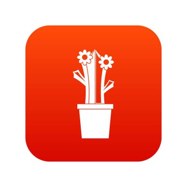 Çiçekli kaktüs simgesi dijital kırmızı
