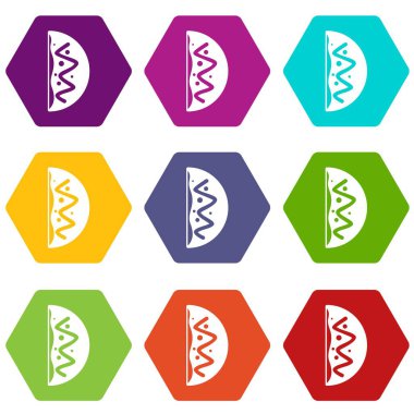 Renk altı yüzlü Asya yemek Icon set