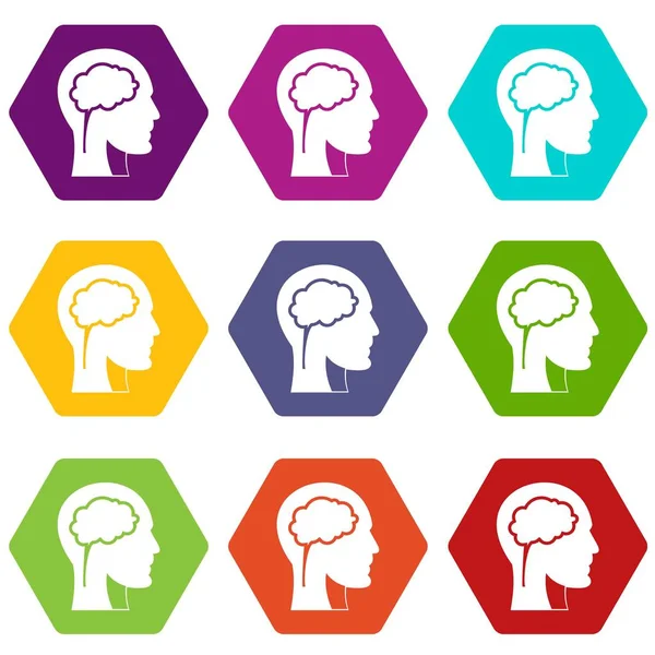 Łeb z mózgu ikonę Ustaw kolor pręt sześciokątny — Wektor stockowy