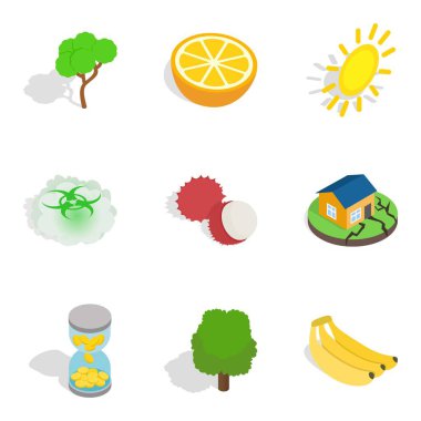 Doğal kurtarma simgeler kümesi, izometrik stili