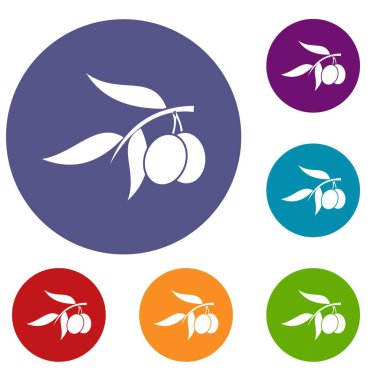 Zeytin ağacı dalı iki zeytin simgelerle ayarla