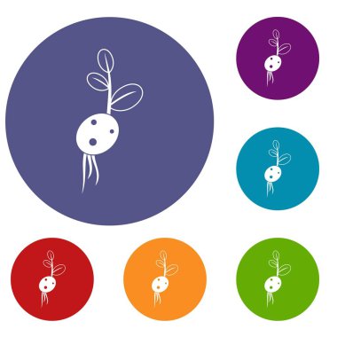 Patates Filiz kök Icons set üzerinden