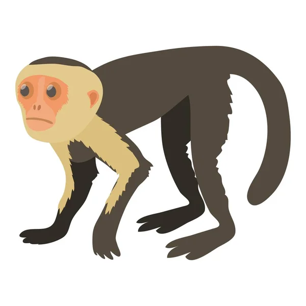 Icono capuchino, estilo de dibujos animados — Vector de stock