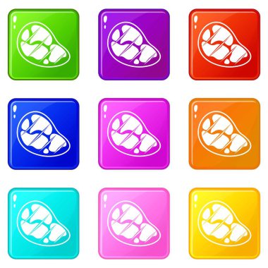 Biftek Icons 9 set