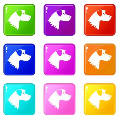 Köpek Icons 9 set