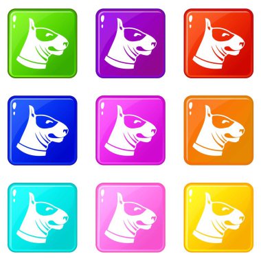 Boğa korkunç köpek simgeler 9 ayarla