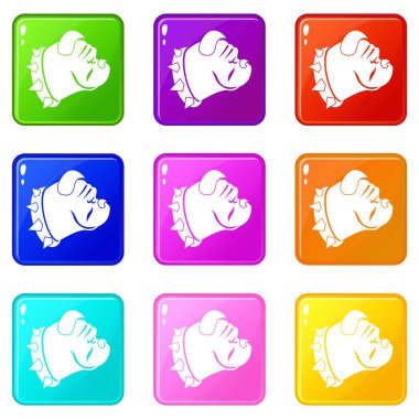 Bulldog köpek Icons 9 set