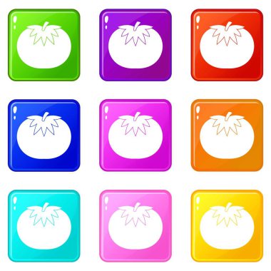 Domates Icons 9 set