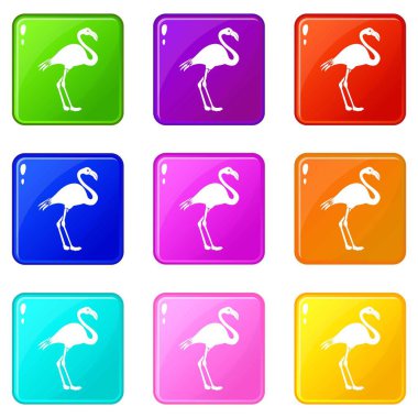 Flamingo Icons 9 set
