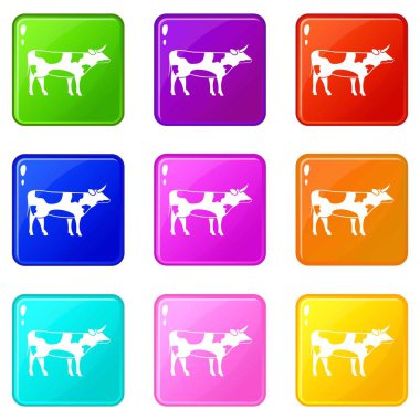 İsviçre inek Icons 9 set