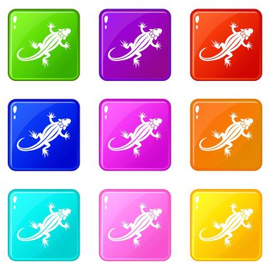 Kertenkele Icons 9 set