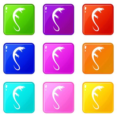 Kertenkele Icons 9 set