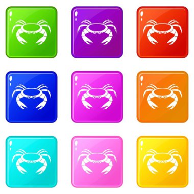 Ham Yengeç Icons 9 set