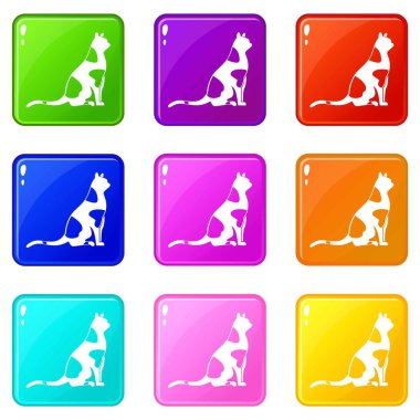 Kedi simgeleri 9 oturan ayarla