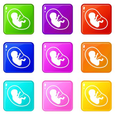 Fetus Icons 9 set