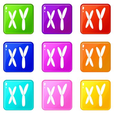 İnsan kromozomlarının Icons 9 set
