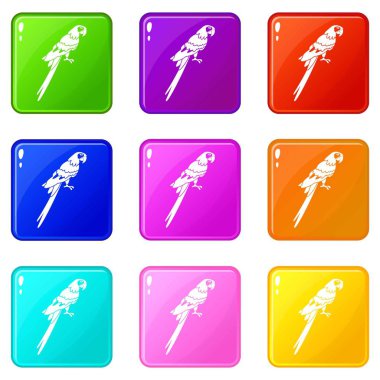 Brezilyalı papağan Icons 9 set