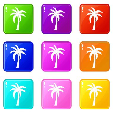Palm Icons 9 set