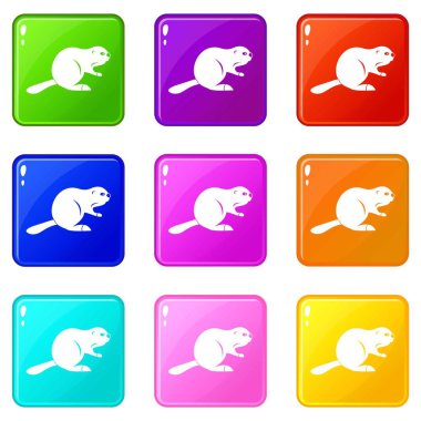 Kanada kunduz Icons 9 set