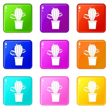 Kaktüs houseplants pot Icons 9 ayarla