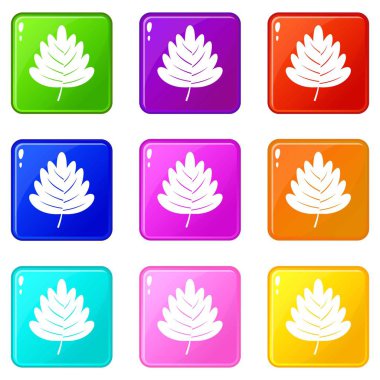 Alıç yaprağı Icons 9 set
