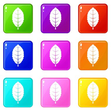 Erik yaprak Icons 9 set