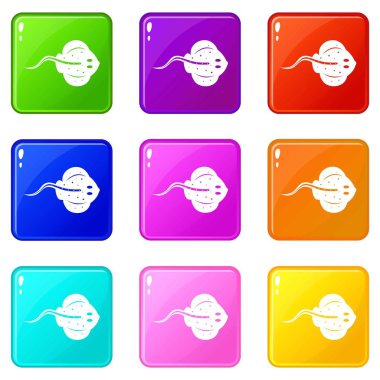 Stingray balık Icons 9 set