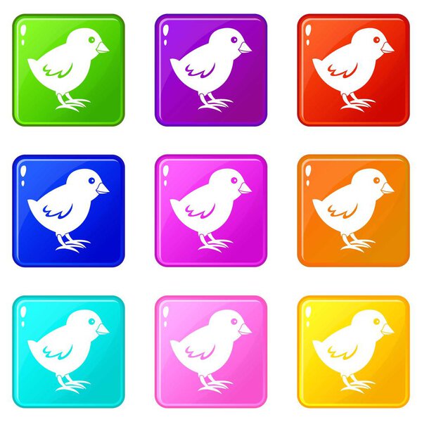 Chick icons 9 set