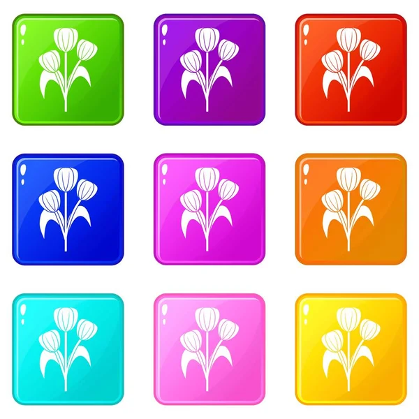 Flowers icons 9 set — Stock Vector