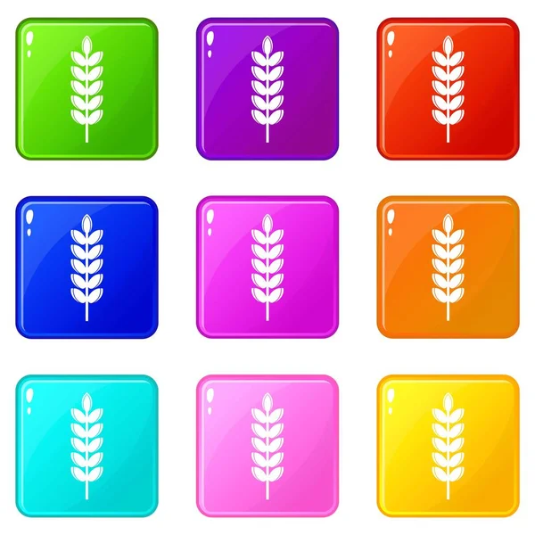 Iconos de espiga de grano grande 9 conjunto — Vector de stock
