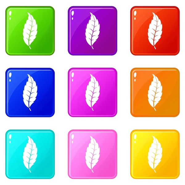 Narrow toothed leaf icons 9 set — Stock Vector