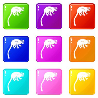 Marmoset maymun Icons 9 set