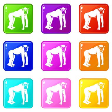 Şempanze Icons 9 set