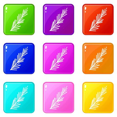 Biberiye baharat Icons 9 set