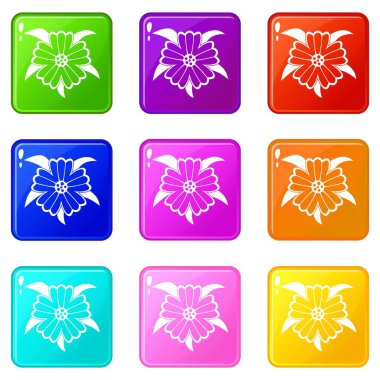 Çiçek Icons 9 set