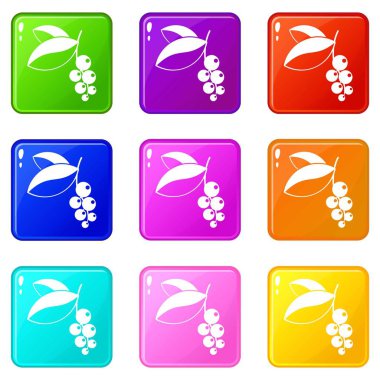 Frenk üzümü çilek Icons 9 set
