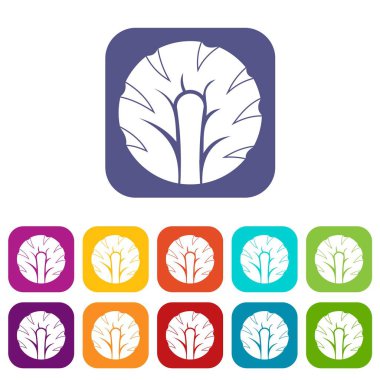 Taze brokoli simgeler dilim düz ayarla