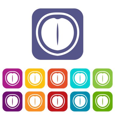 Macadamia nut simgeleri düz ayarlamak