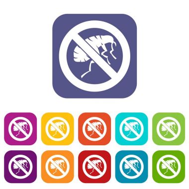 Gravür böcek Icons set