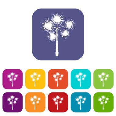 Palm chamaerops Icons set