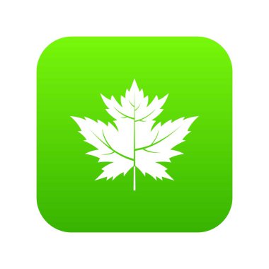 Bektaşi üzümü yaprağı simgesi dijital yeşil