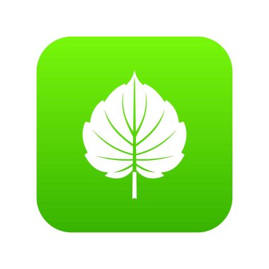 Kızılağaç yaprak simgesi dijital yeşil