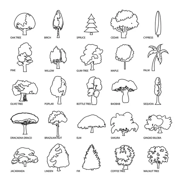 Types d'arbres icônes ensemble, style de contour — Image vectorielle