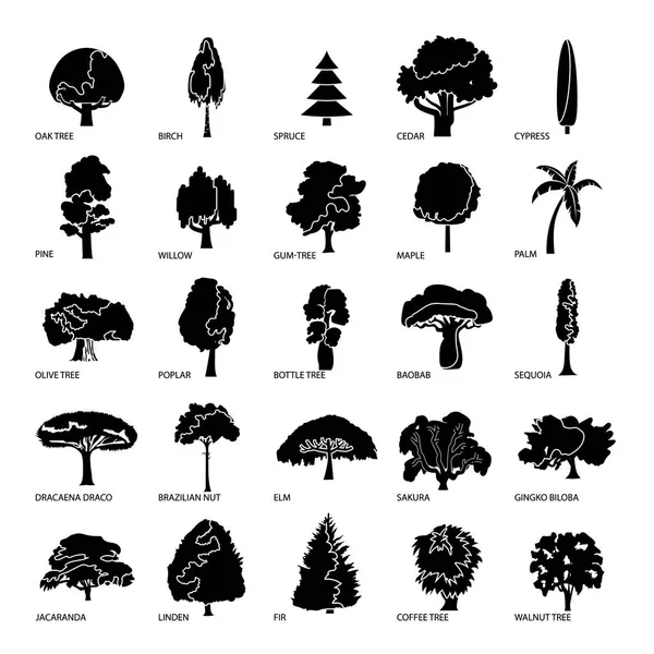 Árbol tipos iconos conjunto, estilo simple — Archivo Imágenes Vectoriales