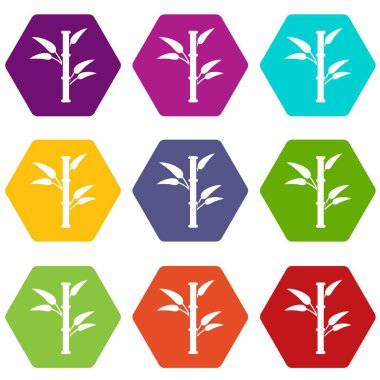 Renk altı yüzlü bambu Icon set