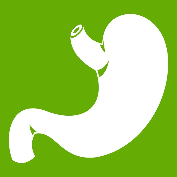 Icône de l'estomac vert — Image vectorielle