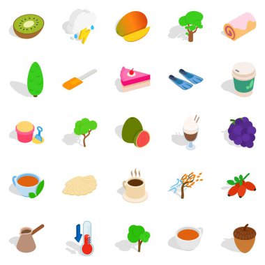 Vegan Icons set, izometrik stili