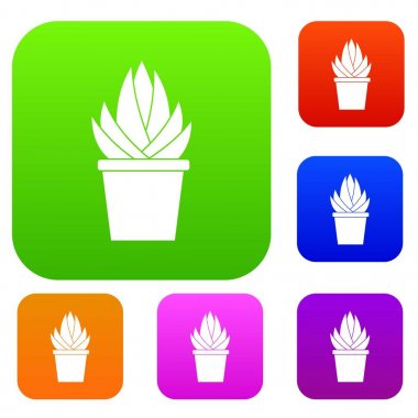 Aloe vera bitki renk koleksiyonu ayarla