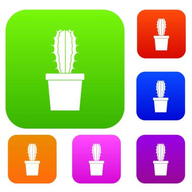 Cactaceae kaktüs renk koleksiyonu ayarla