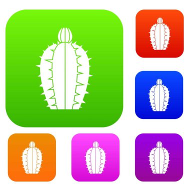 Çiçek açan kaktüs renk koleksiyonu ayarla